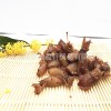 小乌贼干/海兔干/籽乌干/墨鱼干/仔乌海产品干货混批海产品